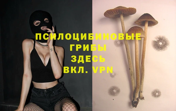 соль курить ск Липки
