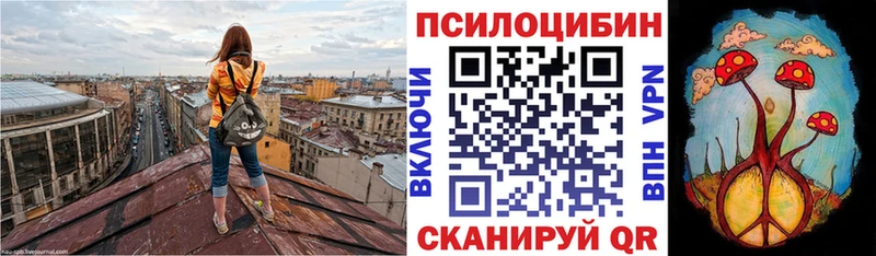 Псилоцибиновые грибы мицелий  Купить  Скопин 